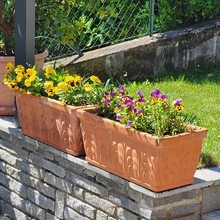 Casa Intignano - Con Terrazzo Vista Lejlighed *