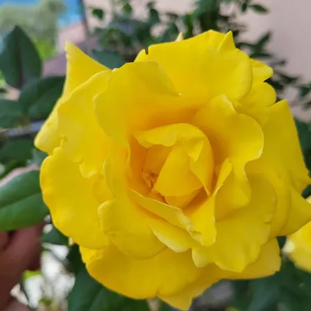 Casa Intignano - Con Terrazzo Vista *