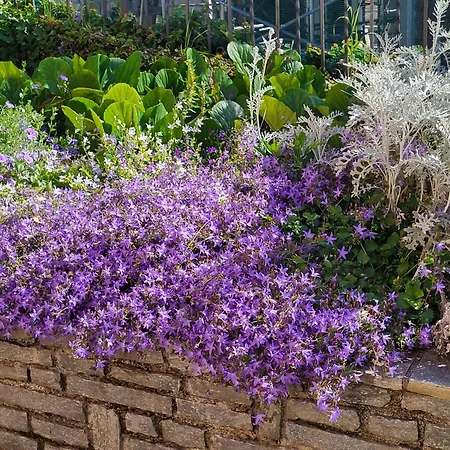 Casa Intignano - Con Terrazzo Vista