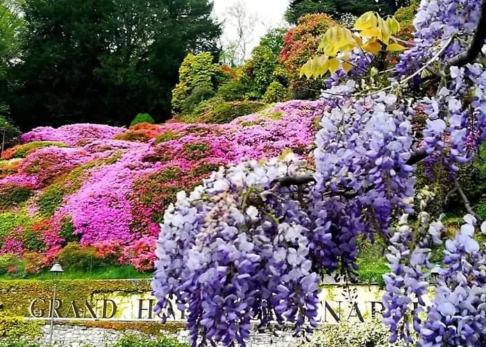 Lägenhet Casa Intignano - Con Terrazzo Vista *