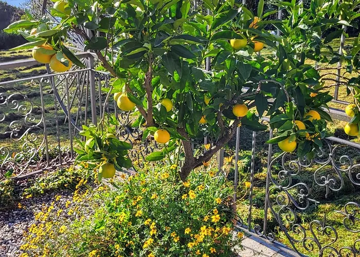 Lägenhet Casa Intignano - Con Terrazzo Vista Tremezzo