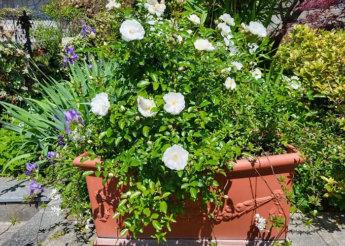 Casa Intignano - Con Terrazzo Vista