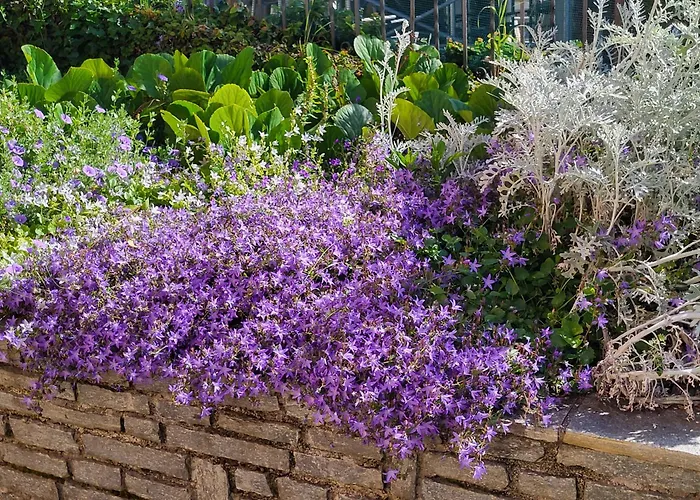 Casa Intignano - Con Terrazzo Vista
